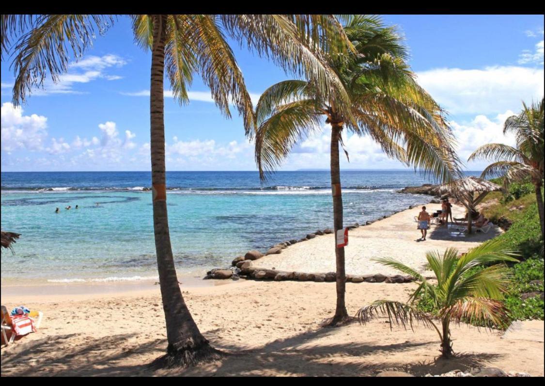 Gwada Cocoon & Blue Lagoon, 2 Studios Cote A Cote Au Manganao A St Francois & Choisissez Le Plus Adapte سانت فرانسوا المظهر الخارجي الصورة