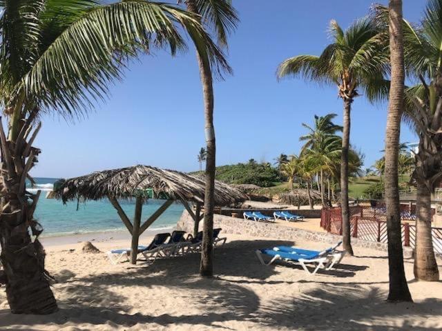 Gwada Cocoon & Blue Lagoon, 2 Studios Cote A Cote Au Manganao A St Francois & Choisissez Le Plus Adapte سانت فرانسوا المظهر الخارجي الصورة